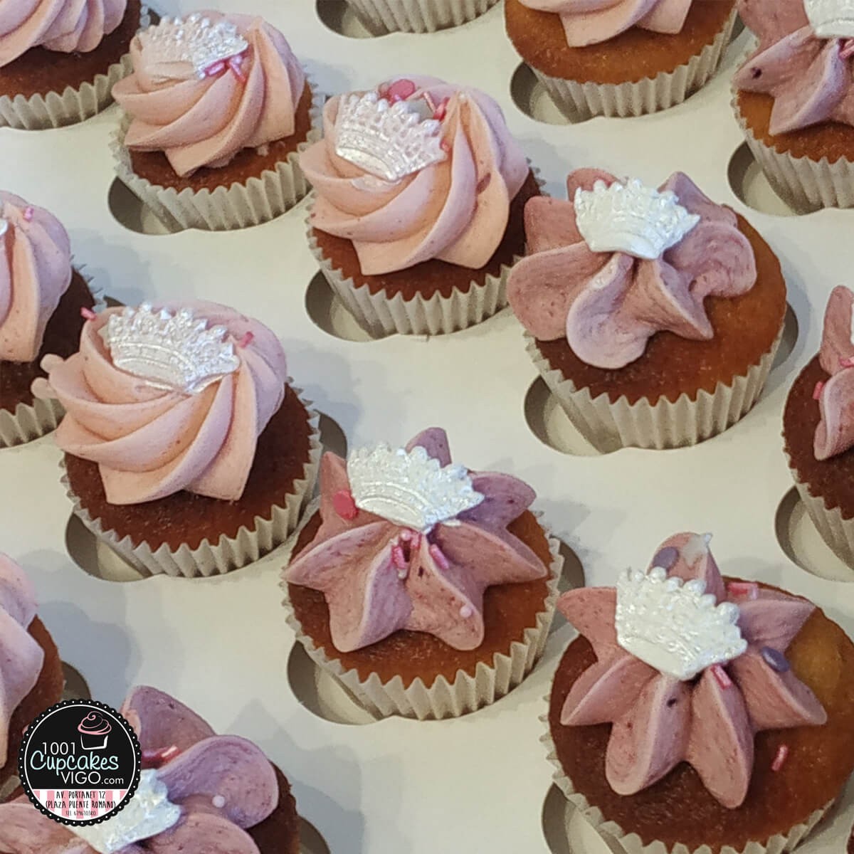 minicupcakes-12-ud-5.jpg